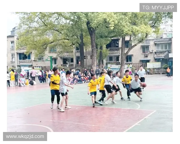 篮球激发团队合作精神与青春激情的运动魅力与时代价值探究