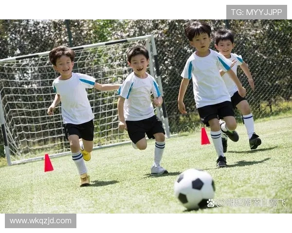 《足球赛场上的风云变幻：探讨技术进步与战术革新对现代足球的影响》