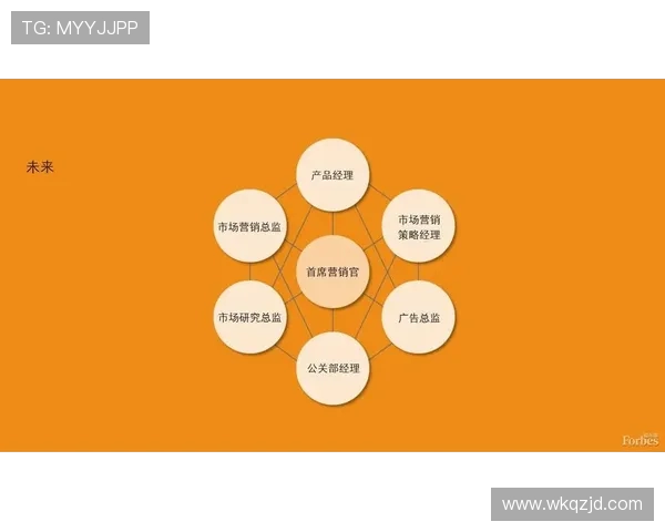深圳足球队的现状分析与未来展望揭示球队巨献的背后故事