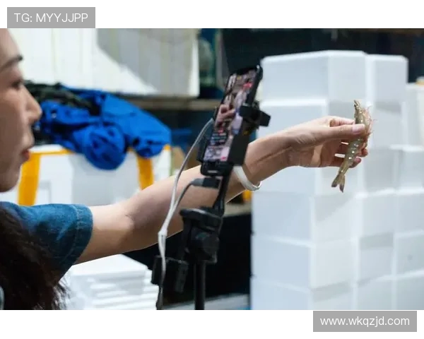 天猫与风暴视频直播的对决：谁能赢得电商直播的未来市场