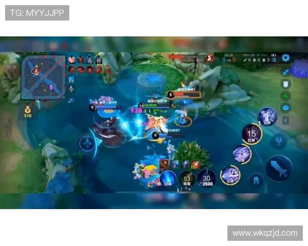 布兰与萨尔普的巅峰对决：谁将成为胜利的王者