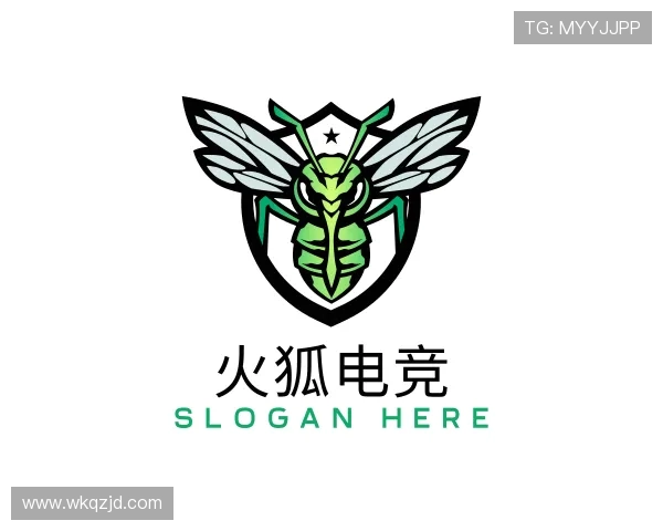 发现火狐电竞